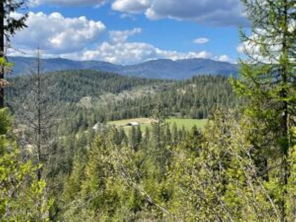 Property Photo: 26xx Burnt Valley Rd WA 99109