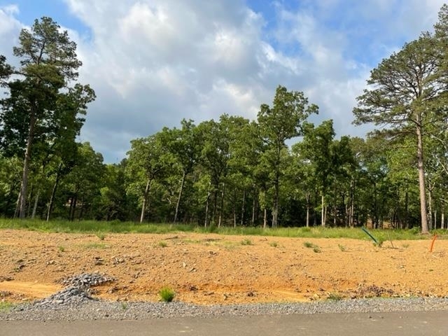 Property Photo:  Orchard Hill Lot 7 Ph 3  AR 72034 