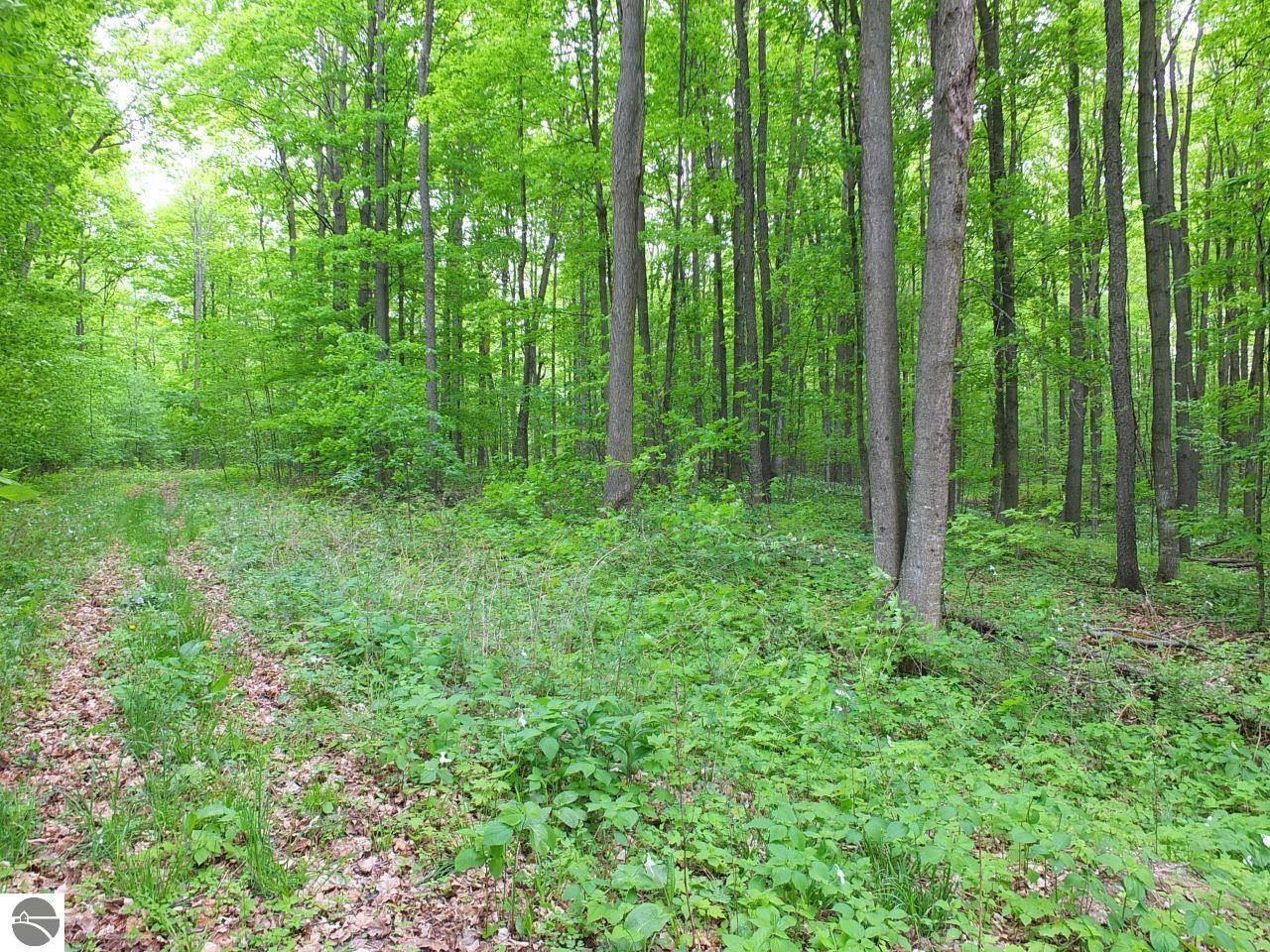 Property Photo:  Parcel B Schichtel Road  MI 49649 