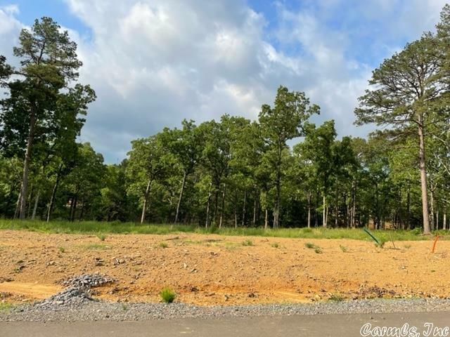 Orchard Hill Lot 7 Ph. 2  Conway AR 72034 photo