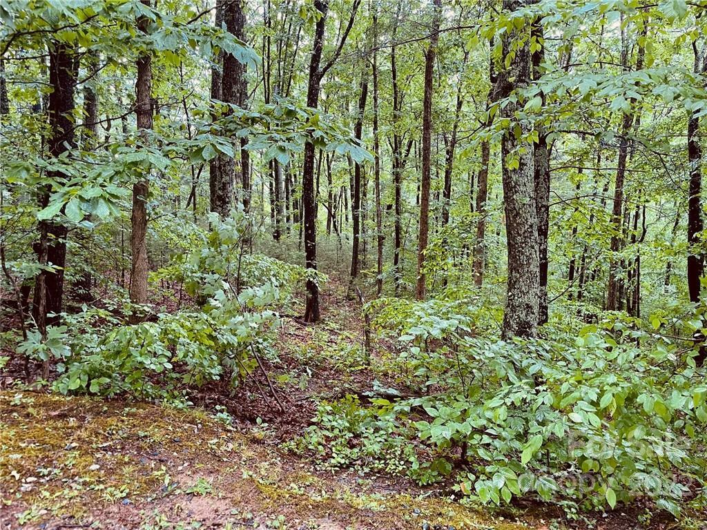 Property Photo:  Lot 1 Windago Road 1  NC 28787 