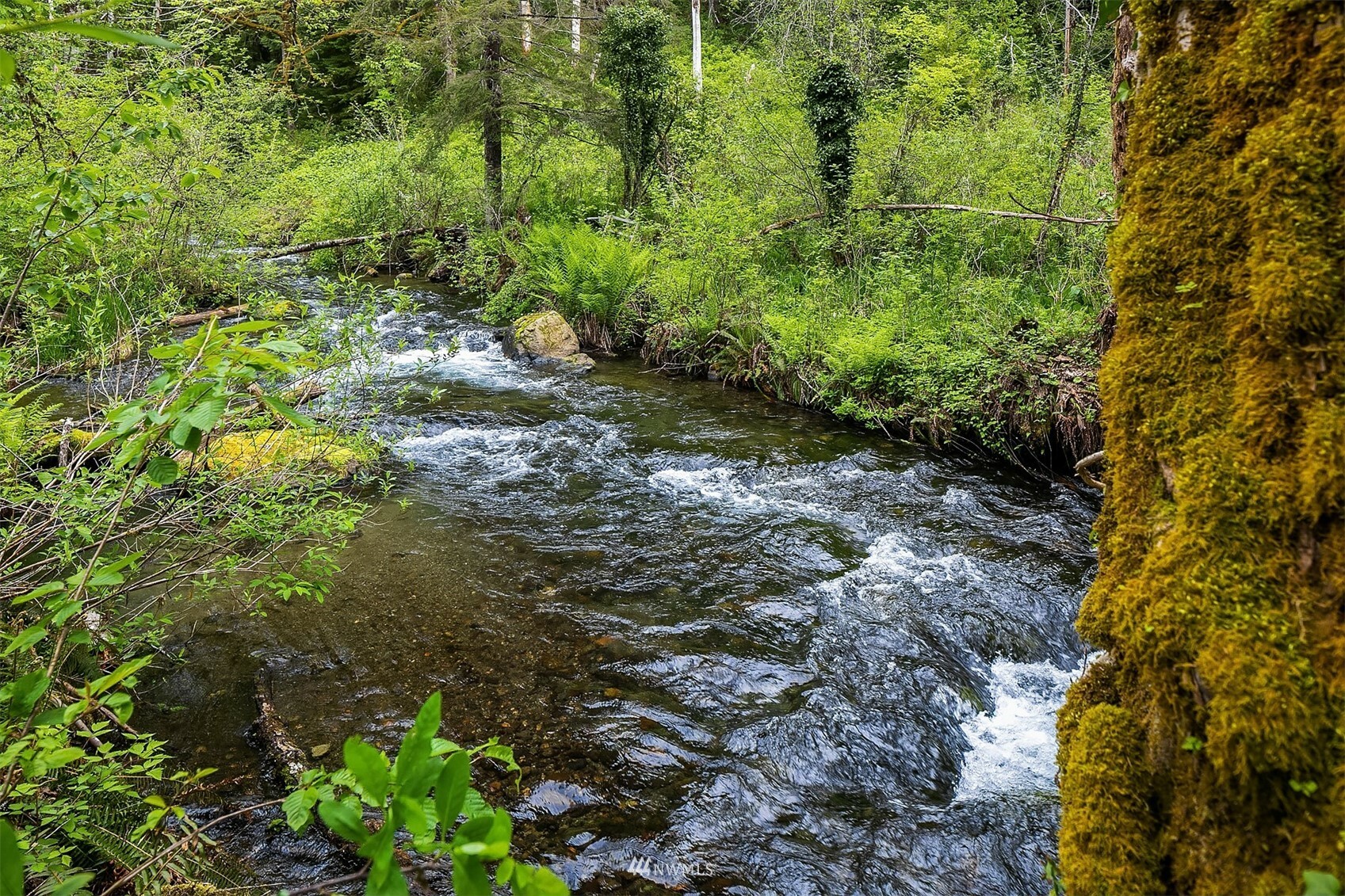 Property Photo:  16909 455th Avenue SE  WA 98045 