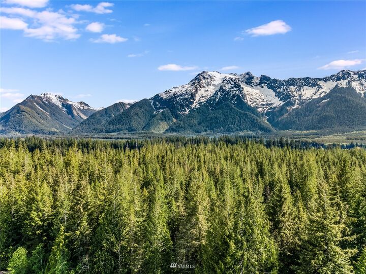 31027 412th Drive NE  Arlington WA 98223 photo