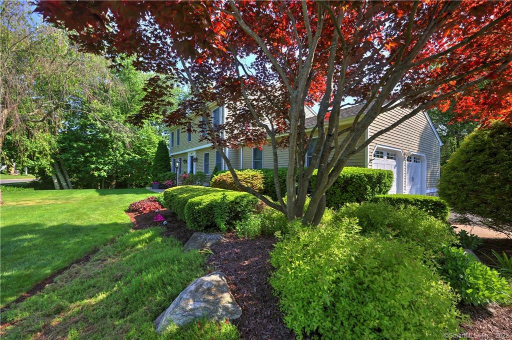 Property Photo:  497 Buckland Drive  CT 06410 