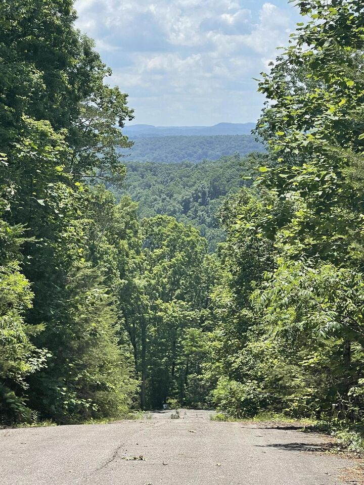 Property Photo: Lot 72 Sandstone Point KY 42633