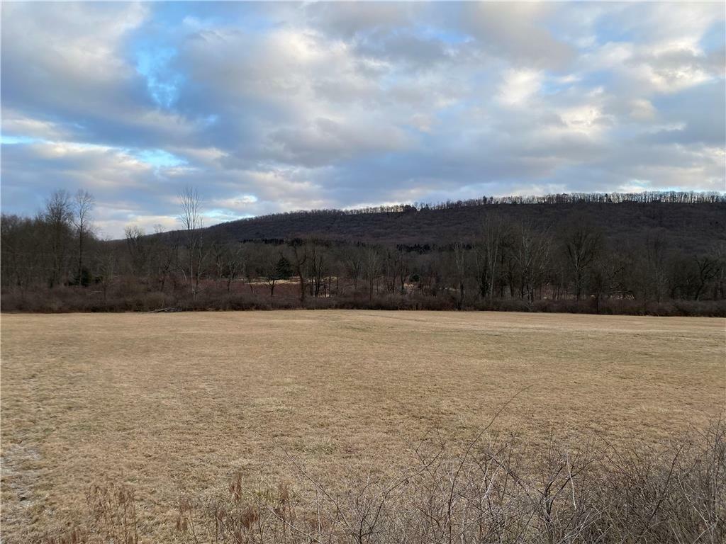 Property Photo:  W South Adamsdale Road South 1  PA 17972 