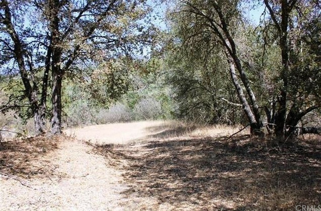 Property Photo:  0 3.31 Ac Meadowwood Road  CA 93644 