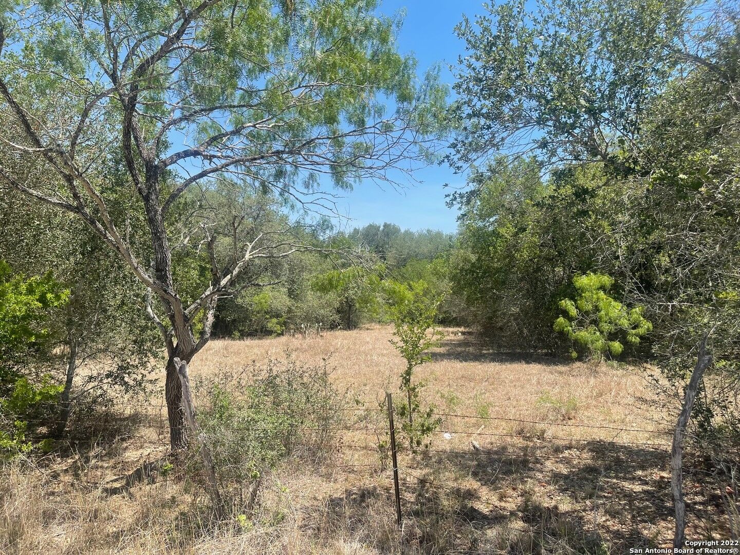 Property Photo: 208B US Highway 87 Business TX 78160