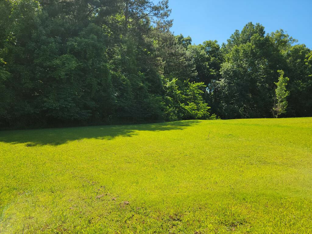 Lot 31 Leatha Lane NW  Cleveland TN 37312 photo