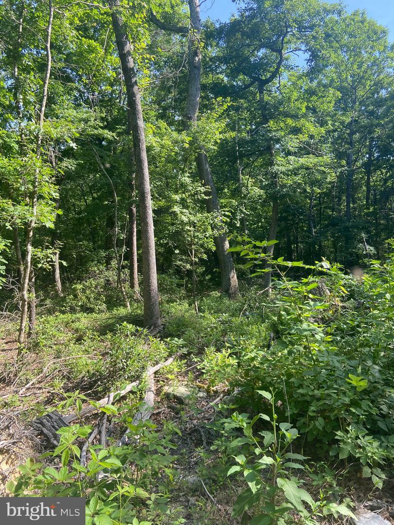 Property Photo:  Lot 13D Buck Run Lane Lane  VA 22652 