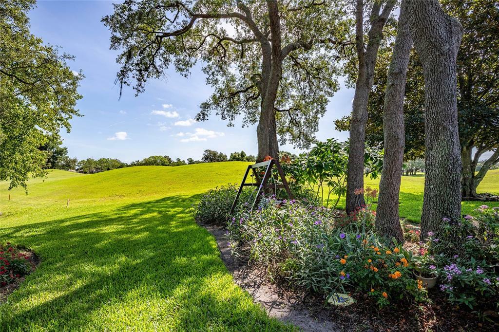 Property Photo:  8003 Pine Hollow Drive  FL 32757 