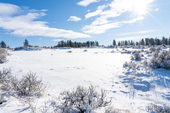 Property Photo:  410 Hummingbird Road  WA 98802 