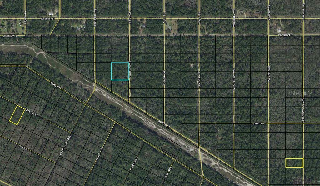 Property Photo:  0 Allison Avenue  FL 32110 