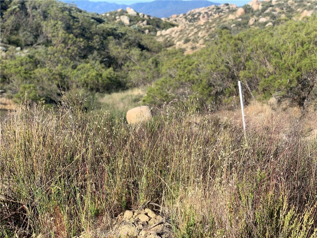 Property Photo:  0 Crazy Horse Canyon Rd  CA 92536 