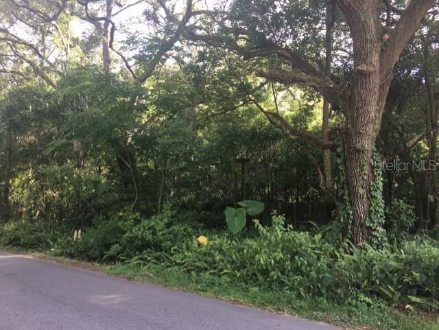 Property Photo: 7415 20th Street FL 33540