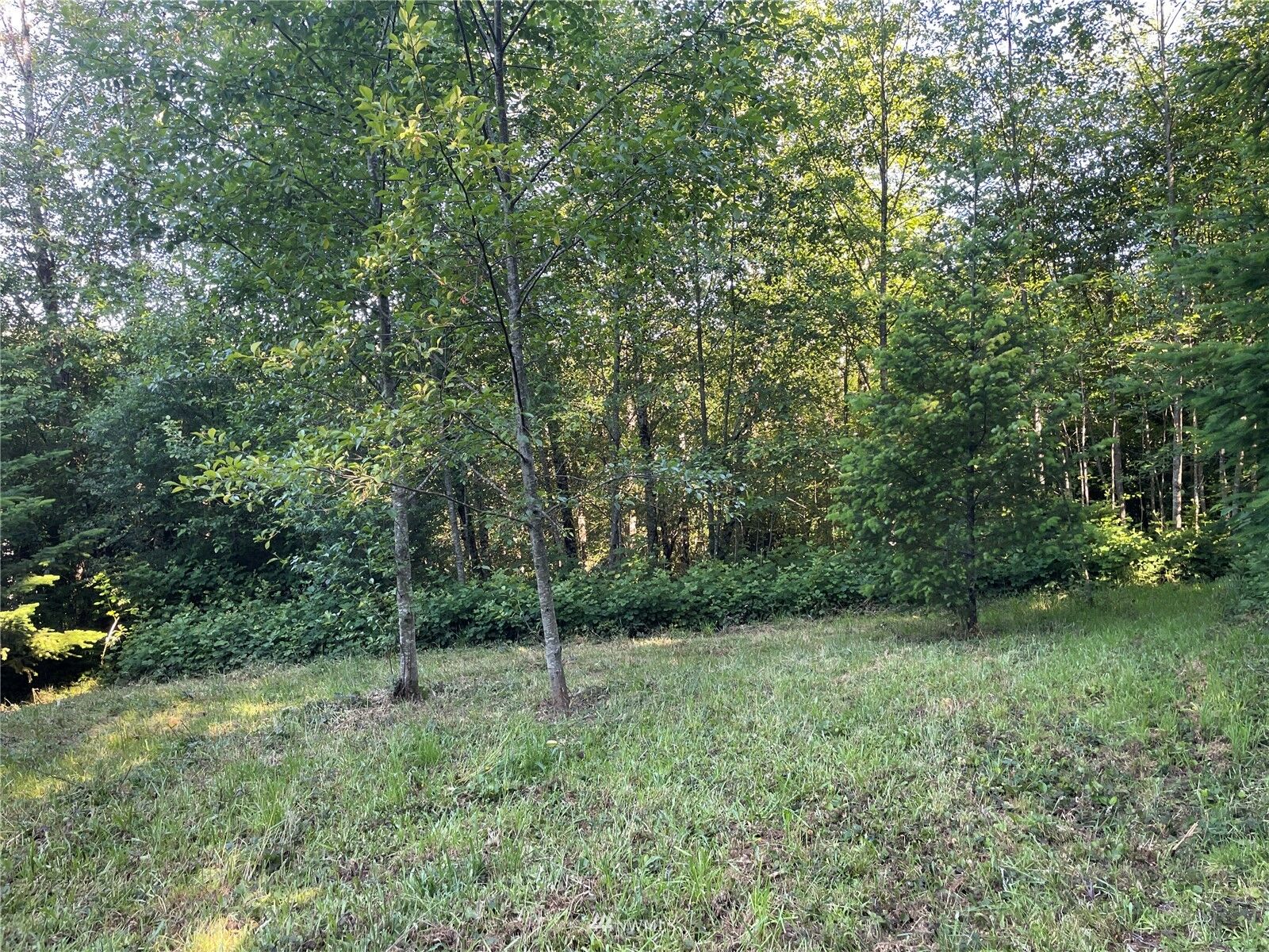 Property Photo:  405  Woodside Drive  WA 98632 