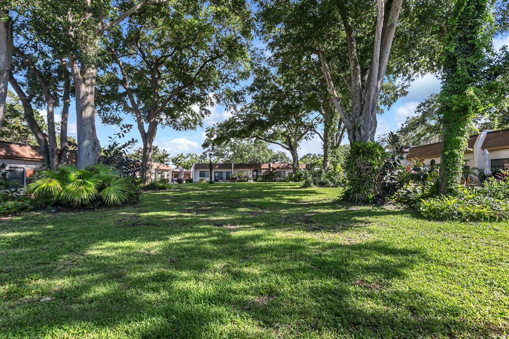 Property Photo: 1603 Mission Hills Boulevard FL 33759