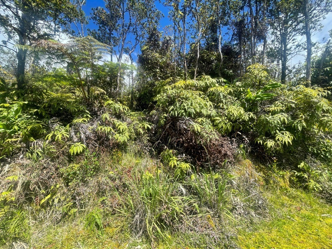 Property Photo:  Alaula St  HI 96785 