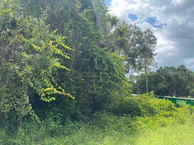 Property Photo: Huntington Street FL 34288