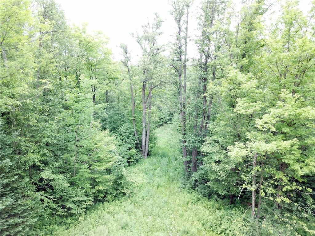 Property Photo:  40 Acres Circle Road  WI 54526 