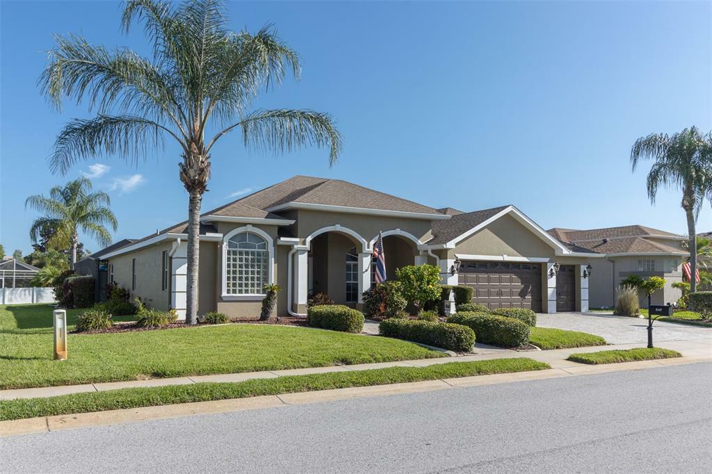 Property Photo:  2447 Winsloe Drive  FL 34655 