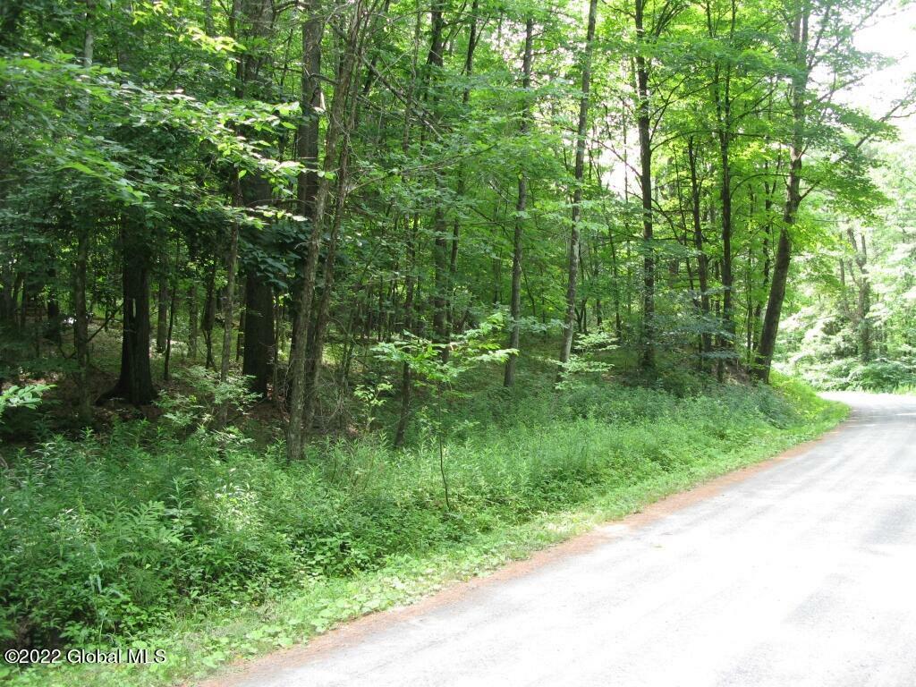 Property Photo:  L23 Pleasant Valley Road  NY 12071 