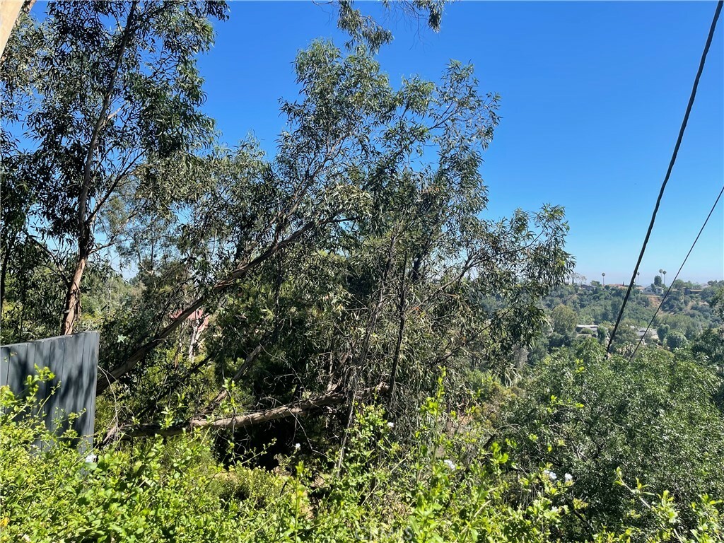Property Photo: 0 Alta Vista CA 91030