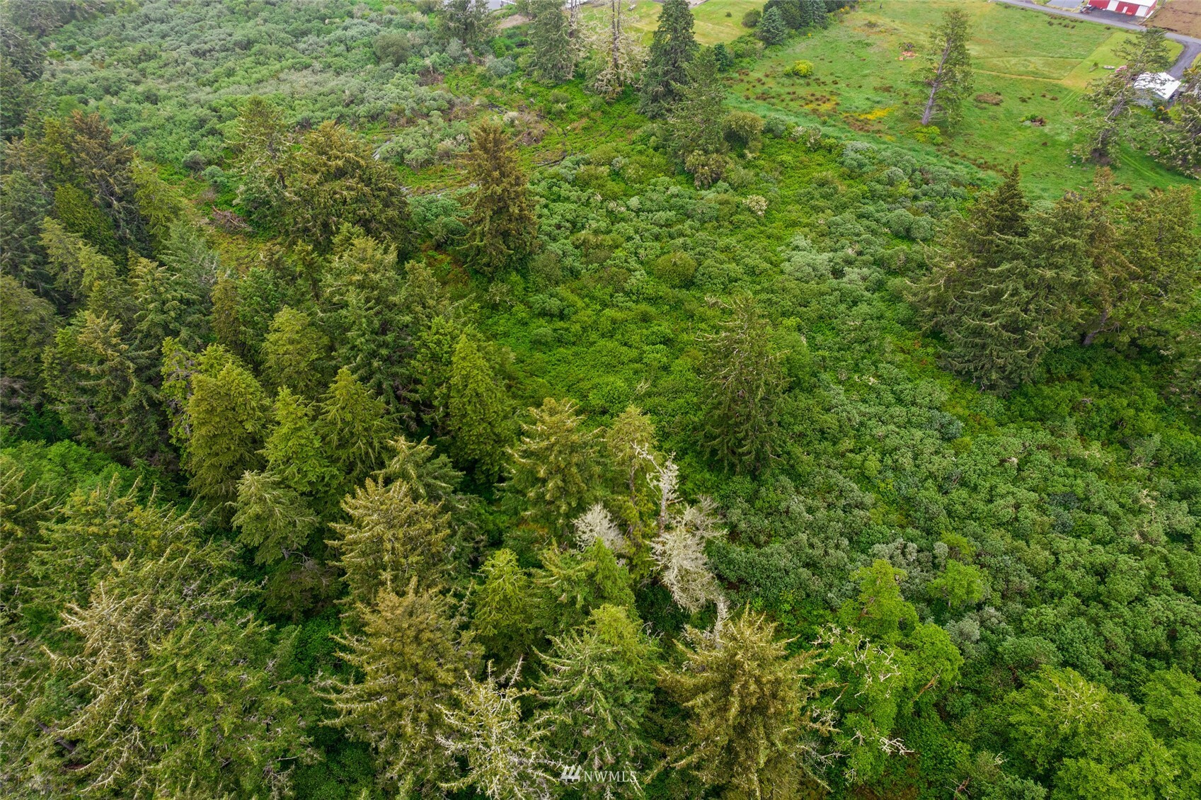 Property Photo:  0 X Cranberry Fields Tr 44  WA 98547 