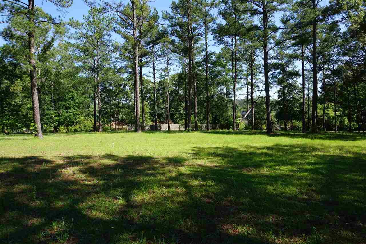Property Photo: 0 Lake Placid Drive GA 31005