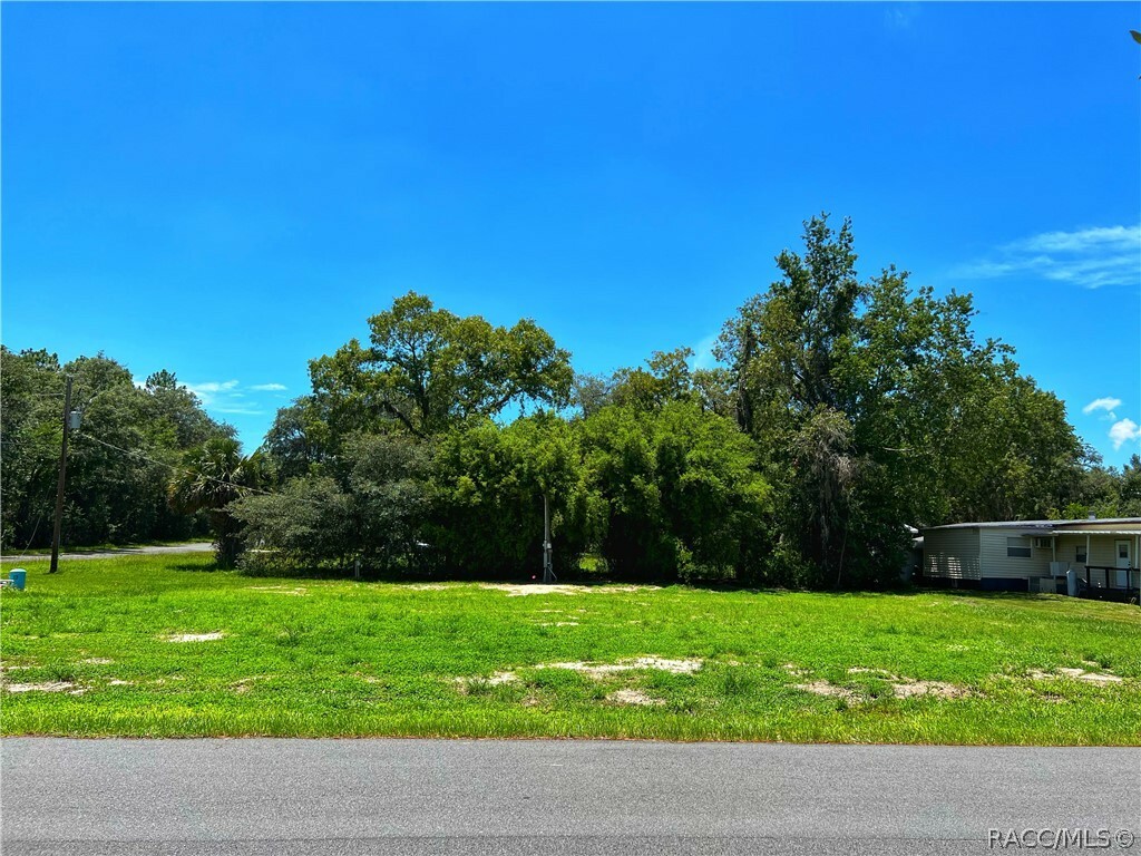 6424 S Hamburg Terrace  Homosassa FL 34446 photo