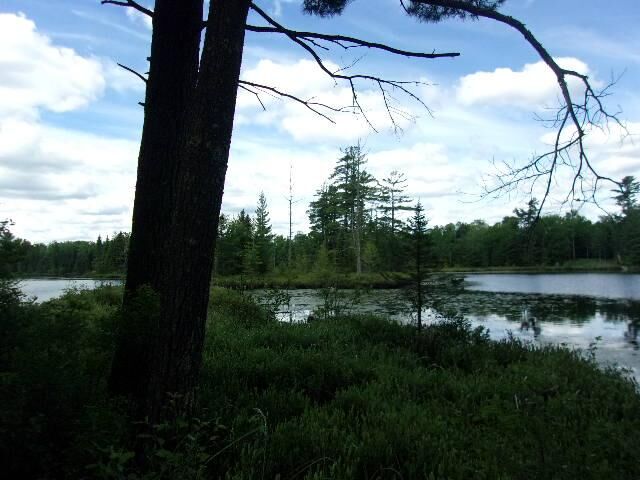 Property Photo:  Off Cramer Lake Rd  WI 54547 
