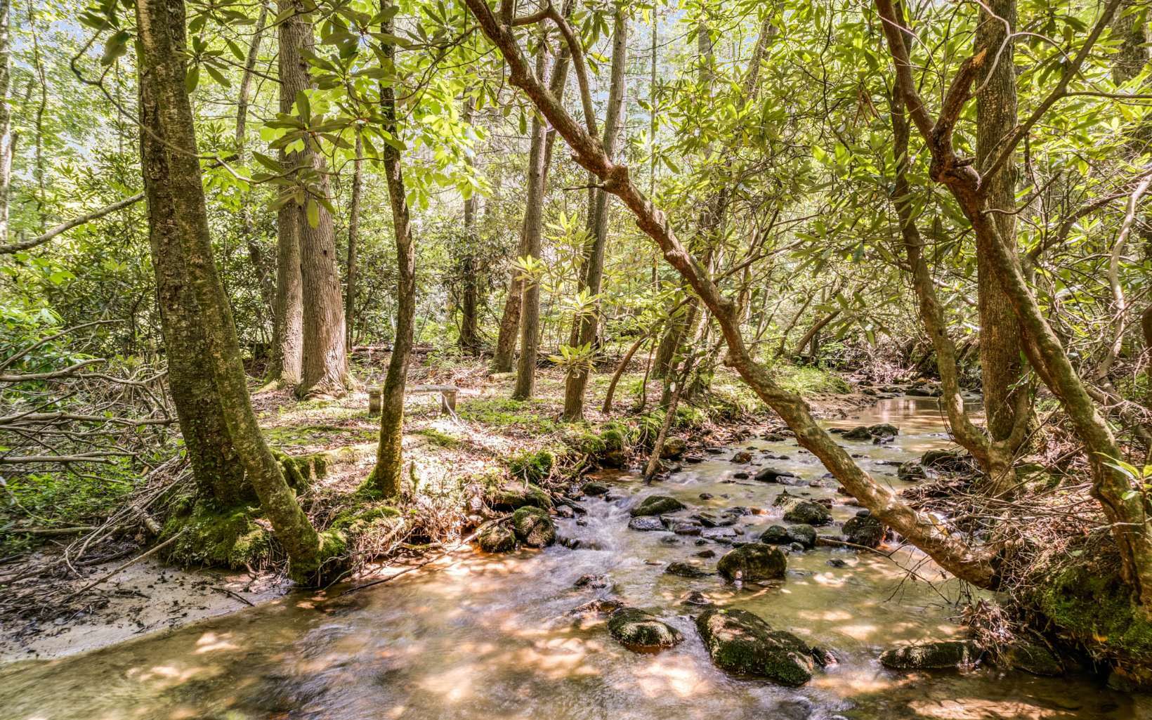 Property Photo:  2858 Old Parker Place Road  GA 30536 