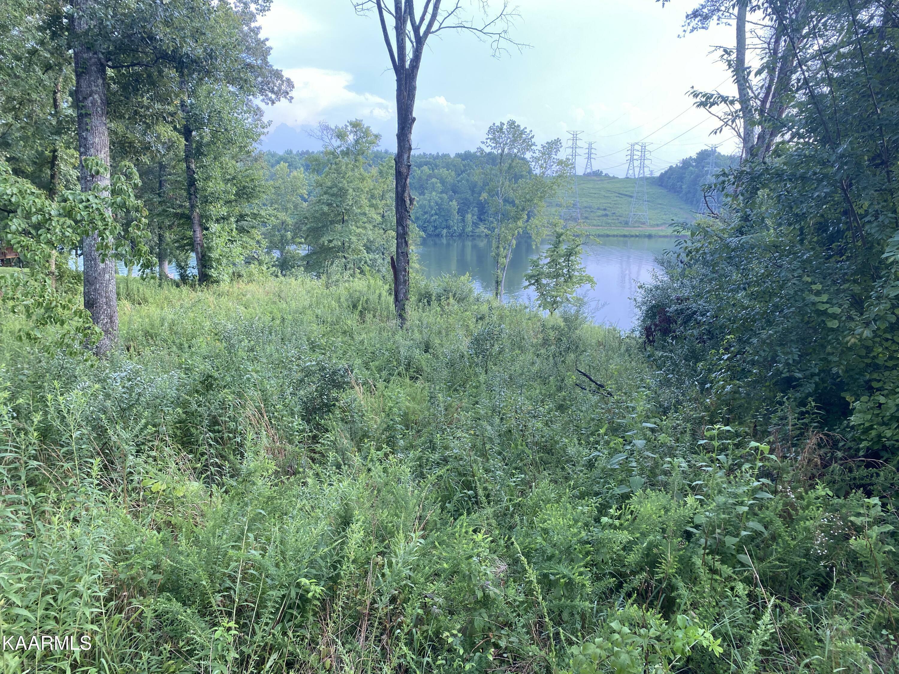 Property Photo:  628/630 Emory River Rd  TN 37748 