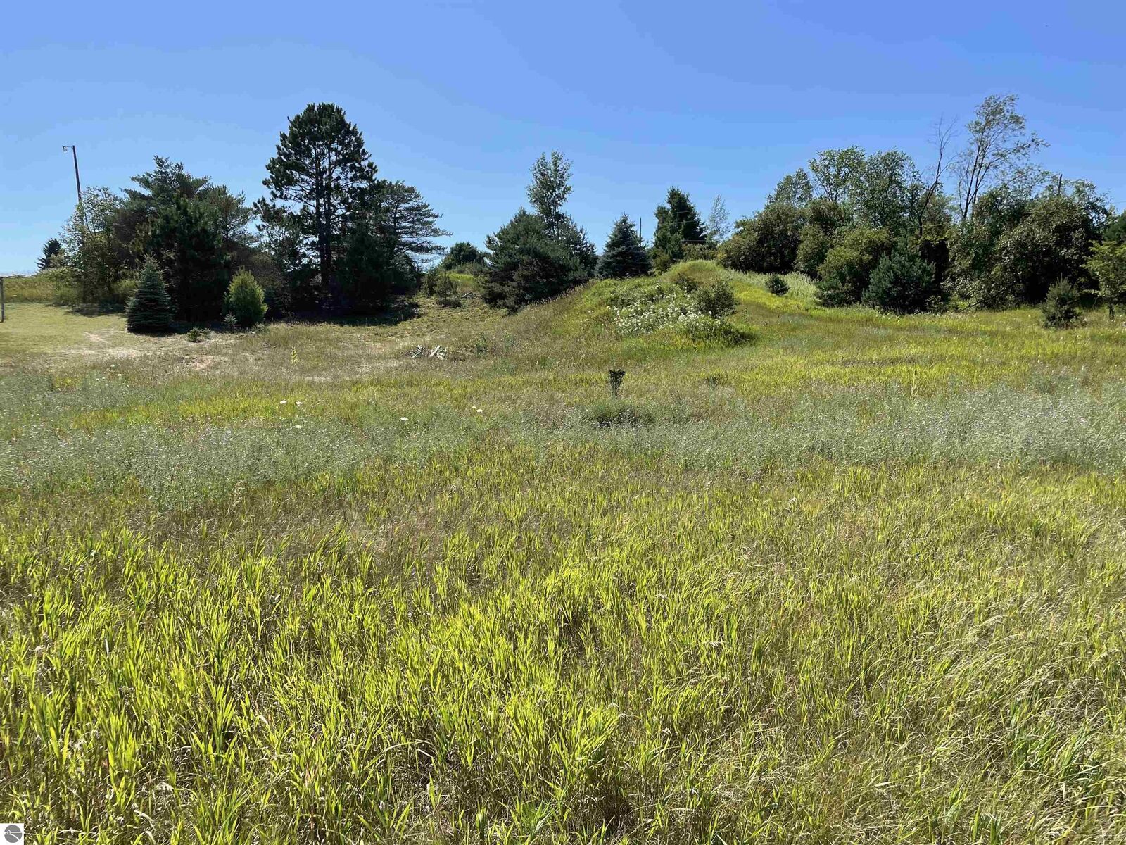 Property Photo: V/L 00 165th Avenue MI 49655-8063