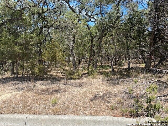 79 Percival  San Antonio TX 78230 photo