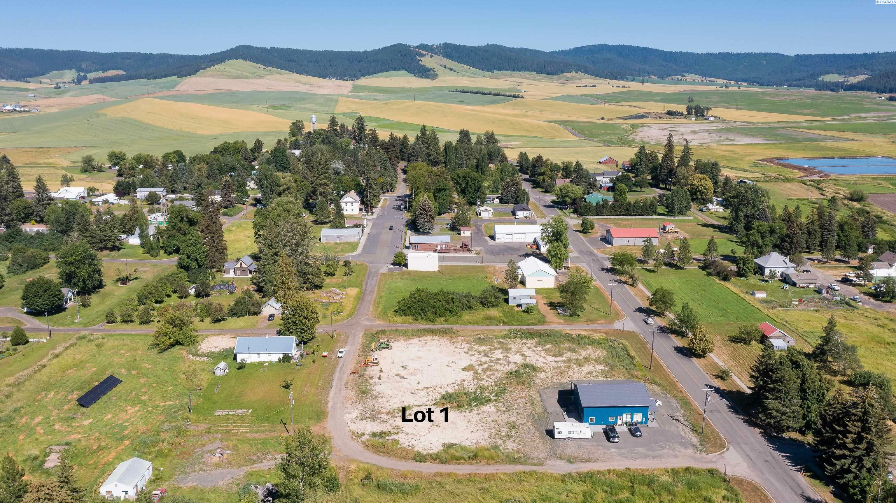 Property Photo:  Tbd Main St. (Lot 1)  WA 99128 