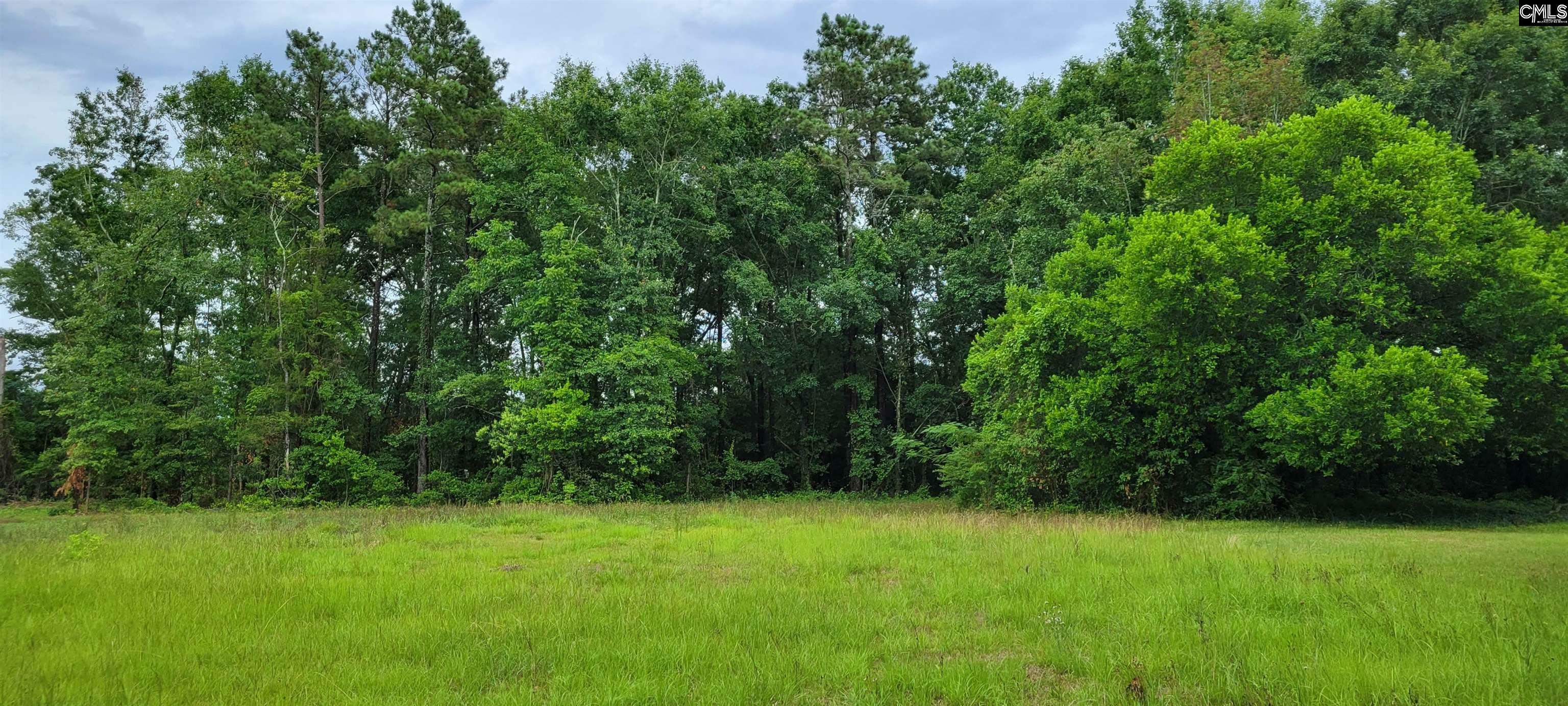 Property Photo: 226 Rawls SC 29070