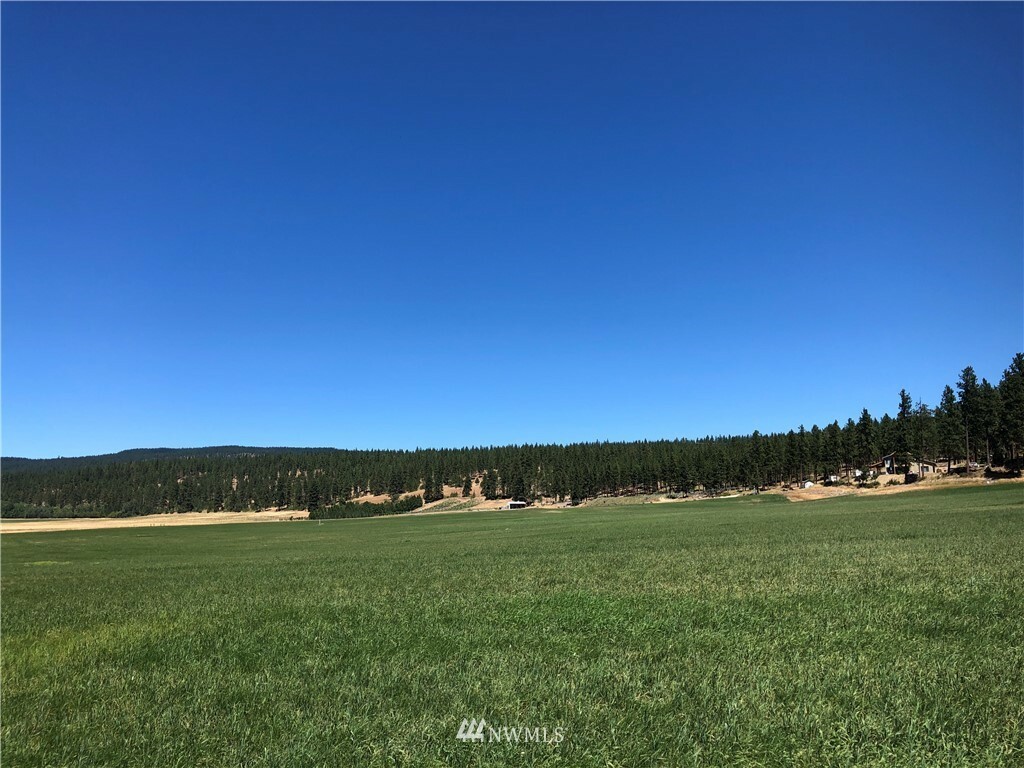 Property Photo:  0 Lot A Masterson Road  WA 98922 