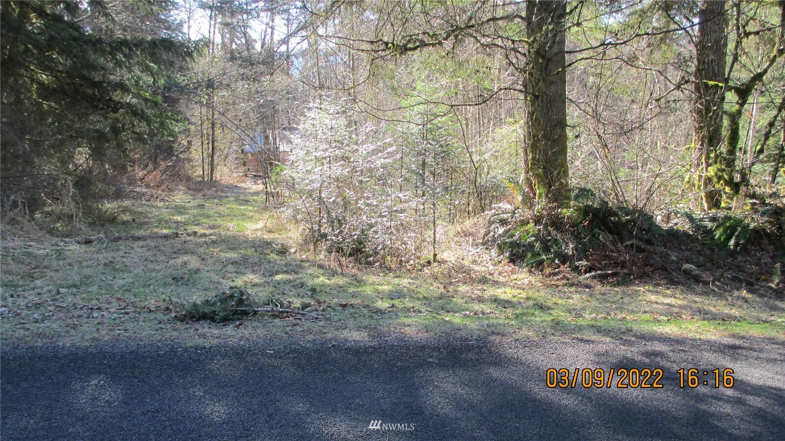 Property Photo:  31414 Mount Tahoma Canyon E  WA 98304 