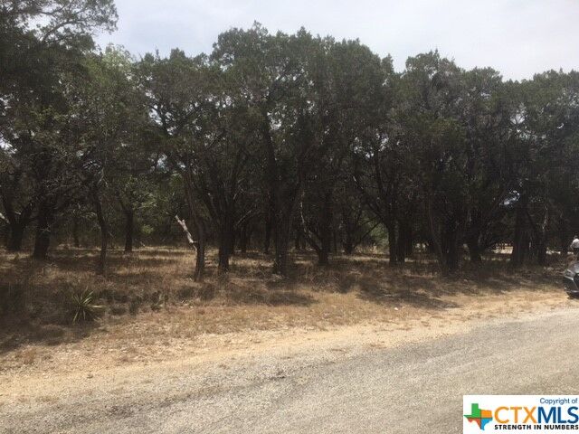 Property Photo:  1811 Lakepark Drive  TX 78063 