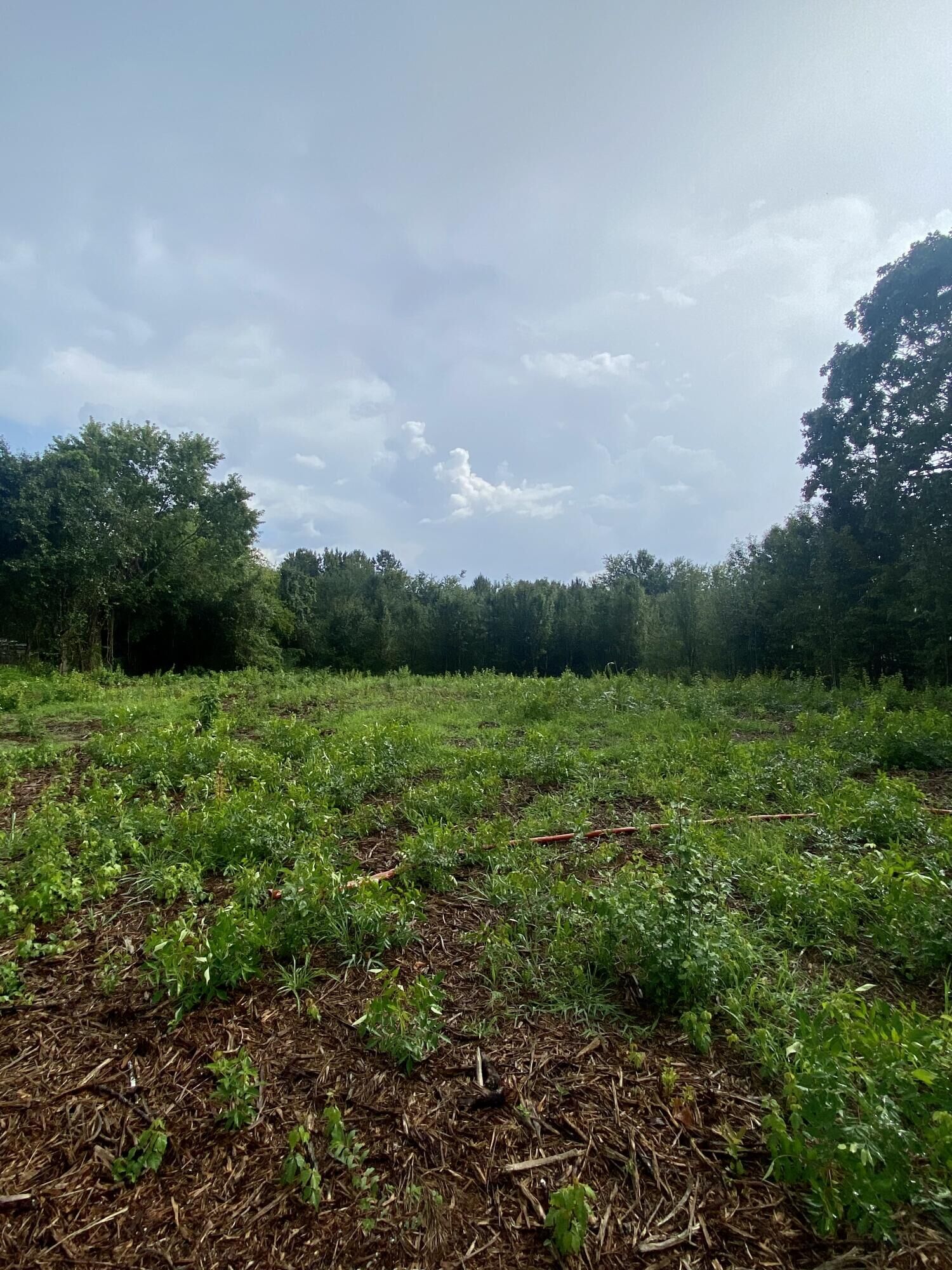 Property Photo:  0 Hurtt Road  GA 30707 