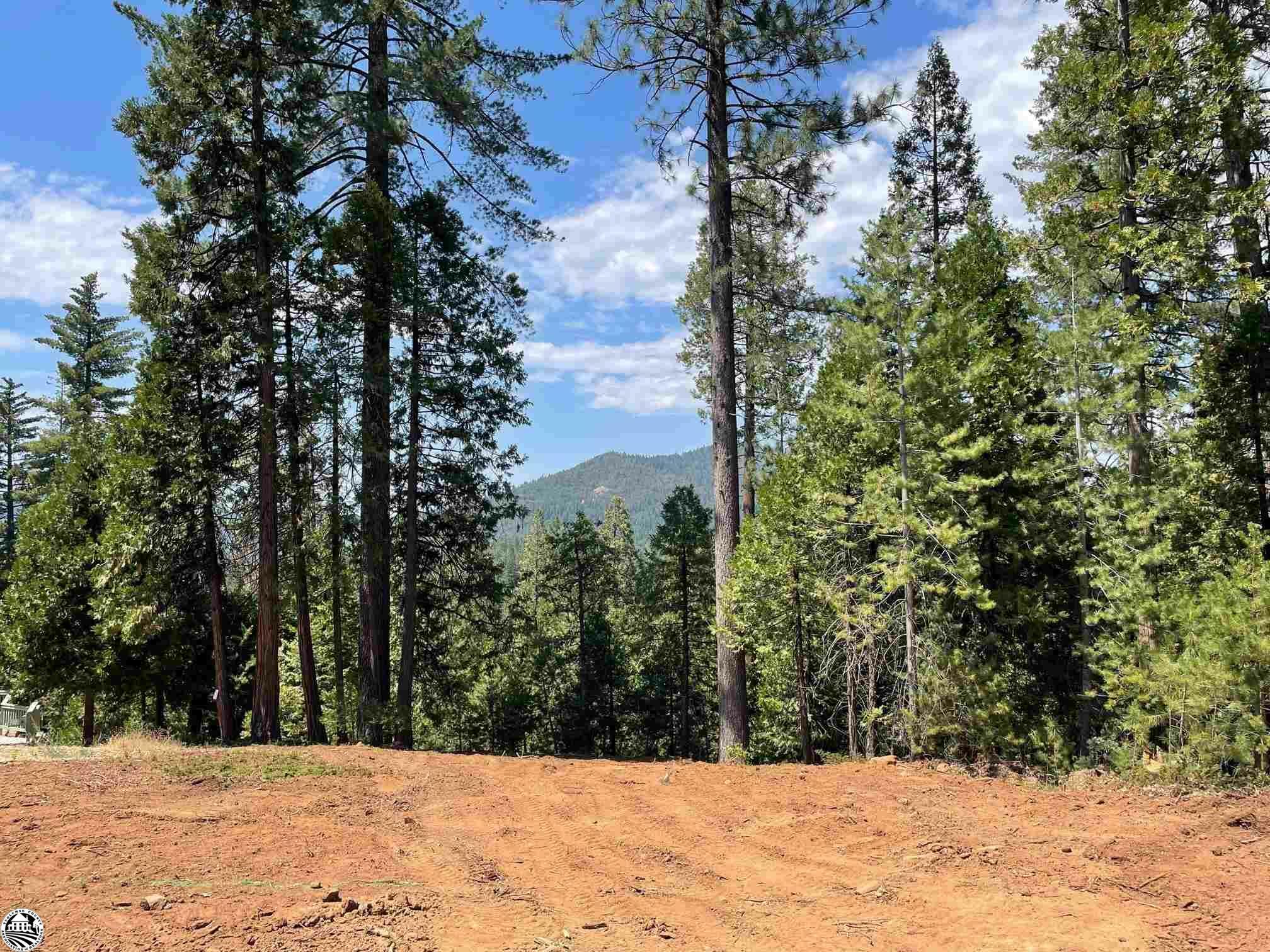 Lot 35 Cedar Pines Vista  Twain Harte CA 95383 photo