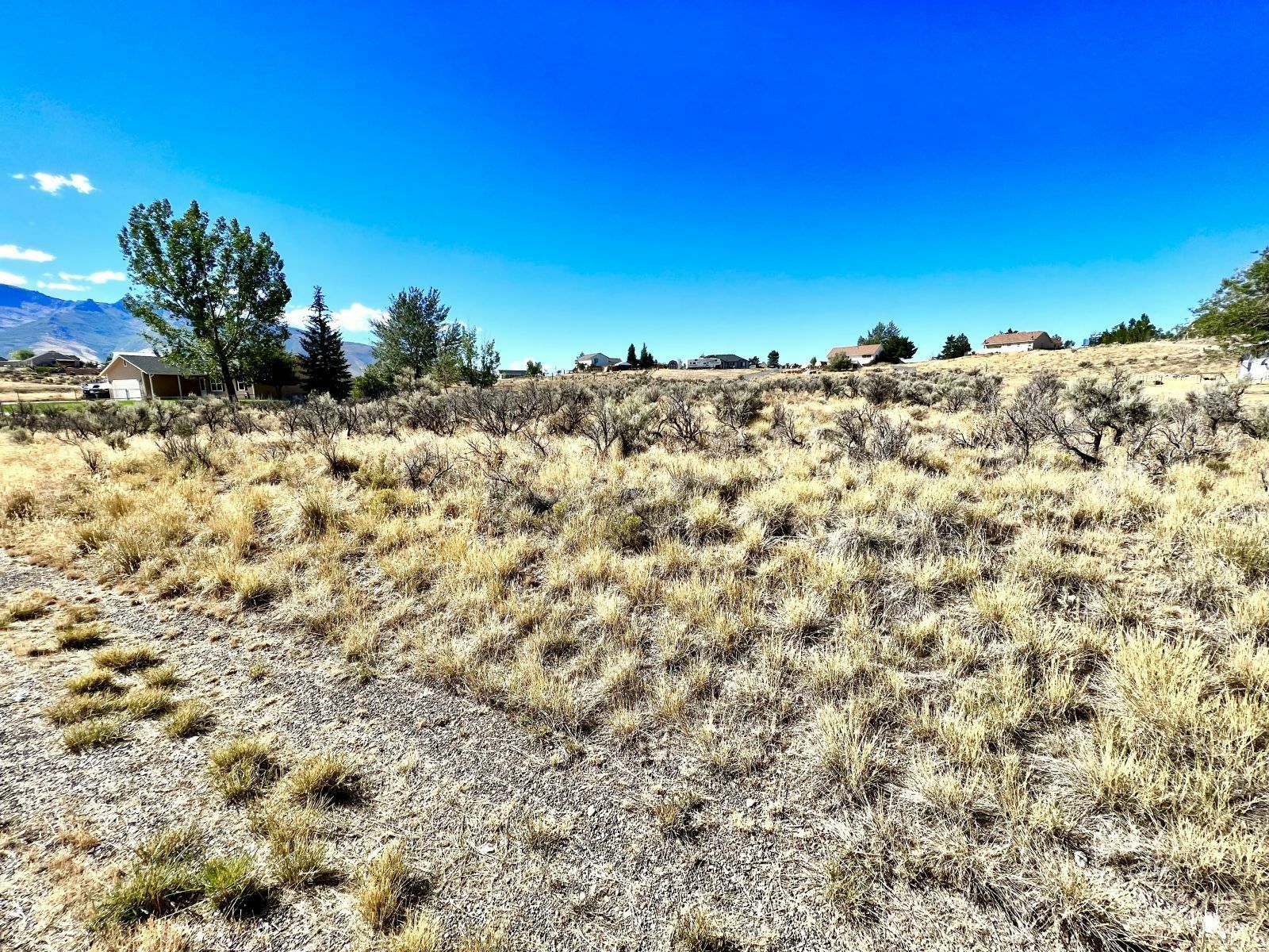 Property Photo:  835 Thistle Drive Drive  NV 89801 