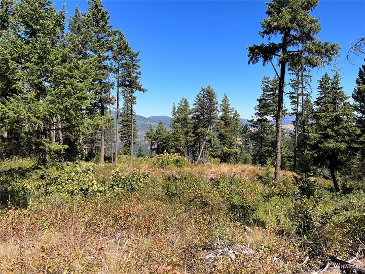 Property Photo:  0 Lot 147 Union Ridge Road  WA 99166 