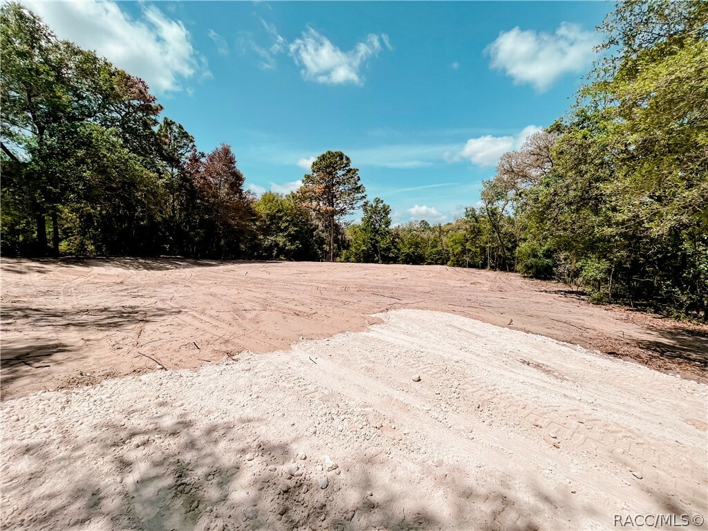 Property Photo: 288 E Brandon Street FL 34442
