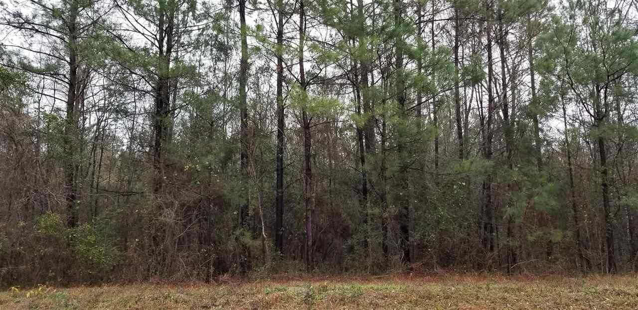 Property Photo:  0000 County Road 2001  TX 75928 
