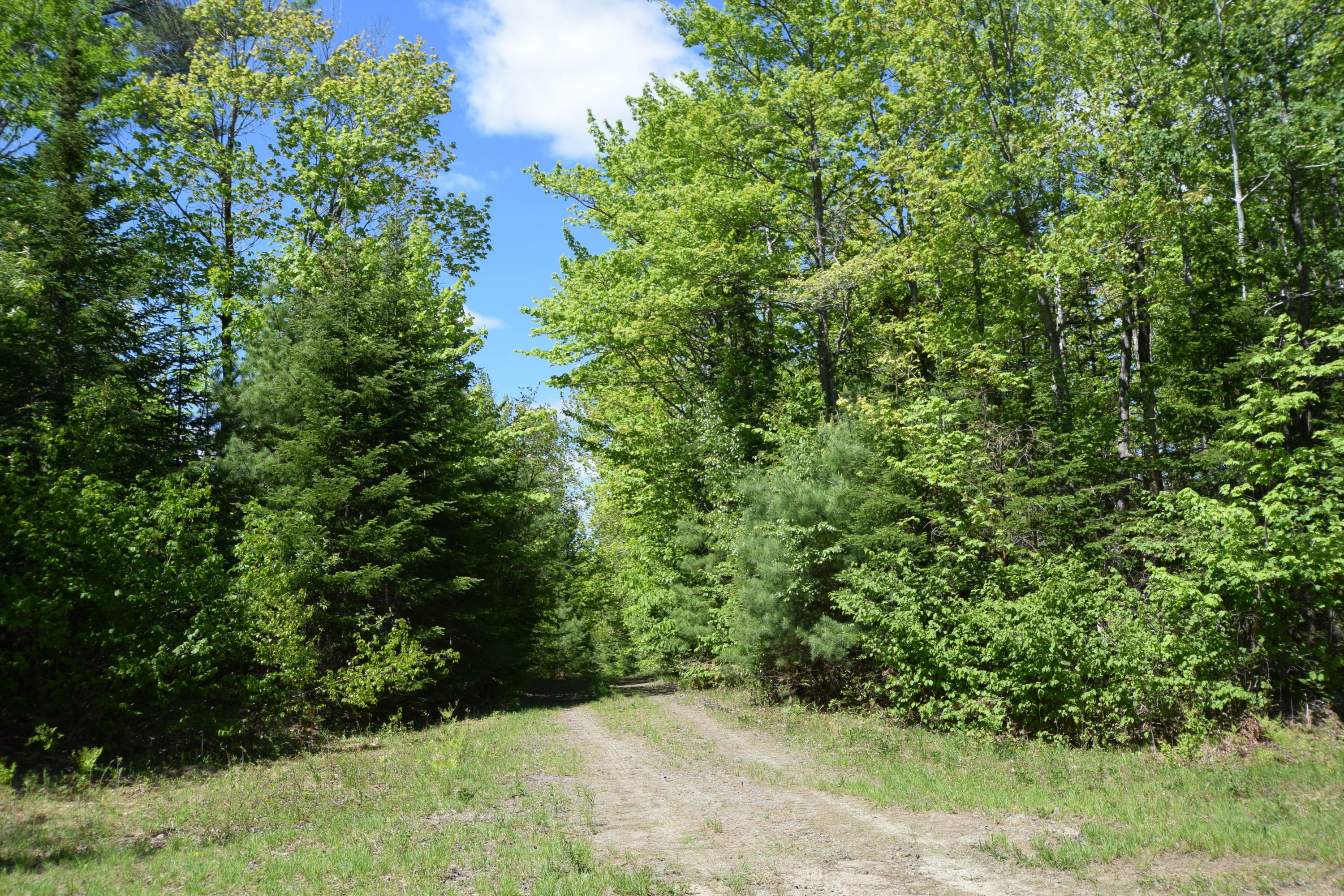 Property Photo:  Lot 18 Tenney Hill Road  ME 04464 