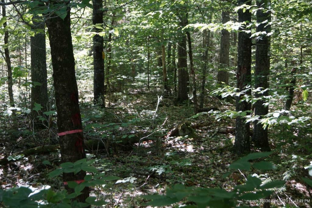 Property Photo:  Lot 7 Macomber Mill Rd.  ME 04634 
