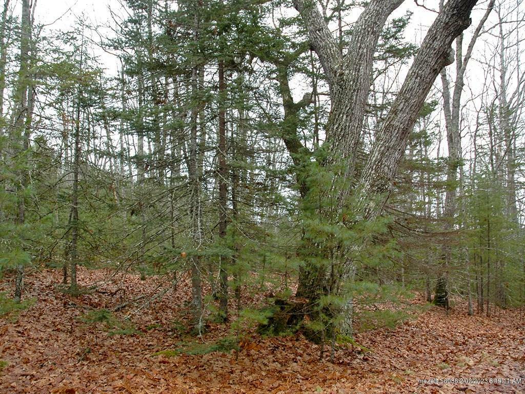 Property Photo:  0 Mill Brook Road  ME 04609 