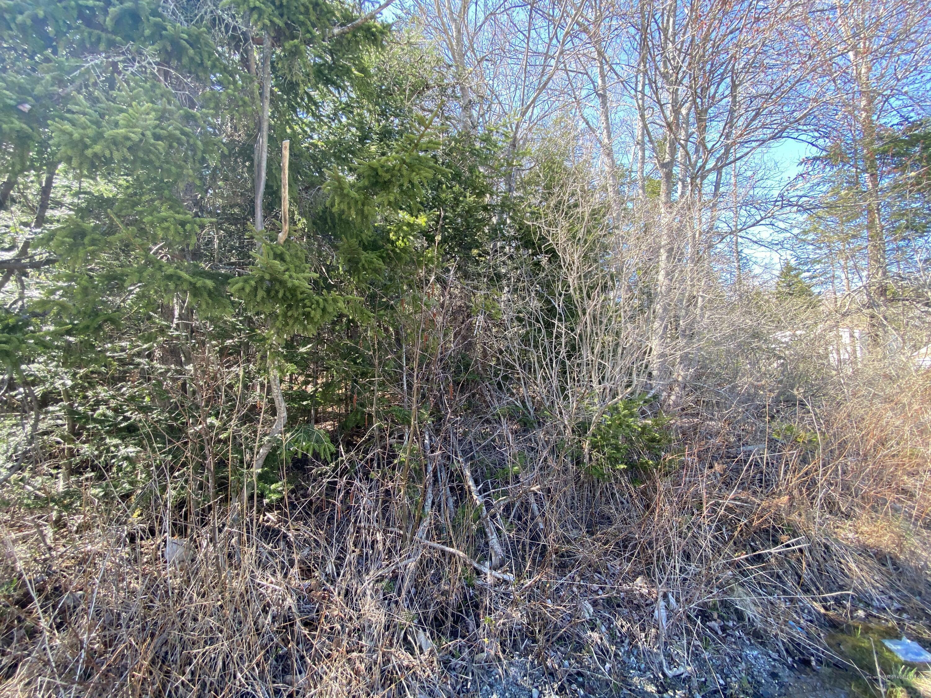 Property Photo:  00 Atlantic Quarry Road  ME 04859 